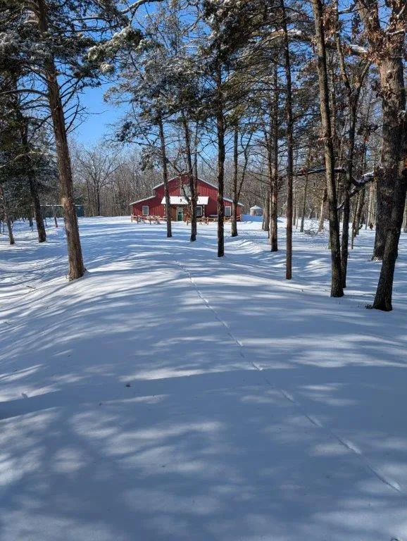 Red barn through snowy trees