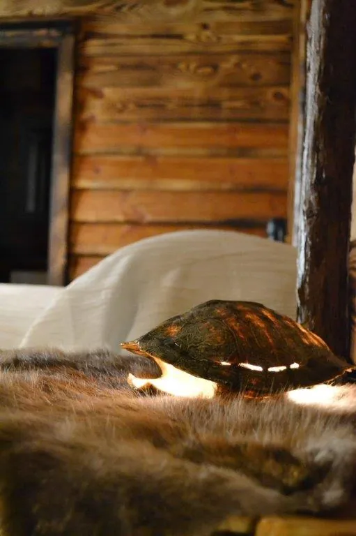 Turtle shell lamp detail